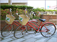 名車カマキリ